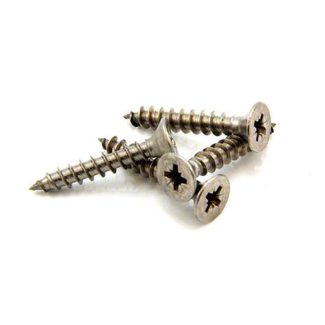 stainless steel screws 10mm